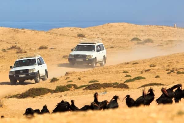 Mini Sahara & Dunes Day Trip from Agadir